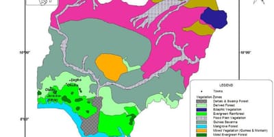 خريطة نيجيريا تظهر النباتات